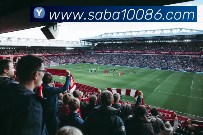 App Interface Preview